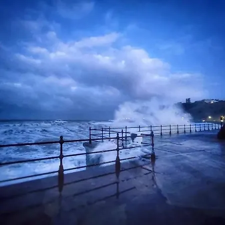 Haddock Hideaway Saints Scarborough