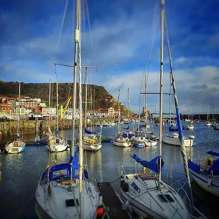 Haddock Hideaway Saints *