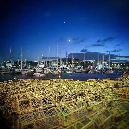 Haddock Hideaway Saints *